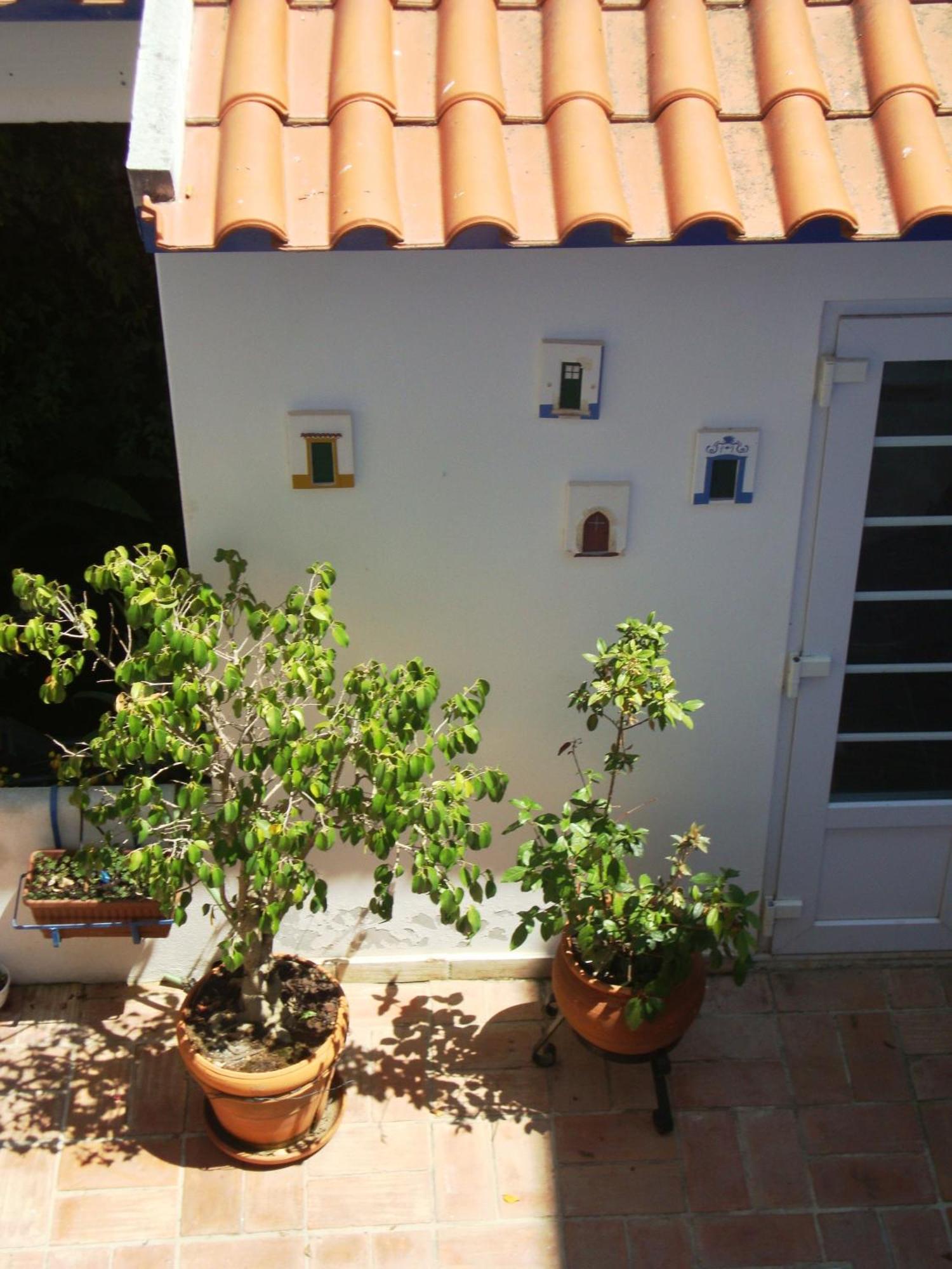 Hotel Mar E Sol Vnmf By Umbral Vila Nova de Milfontes Eksteriør bilde
